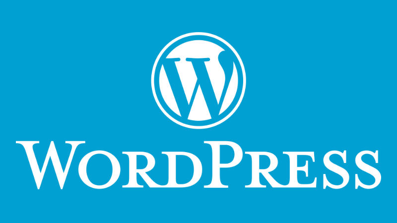 Wordpress Developer