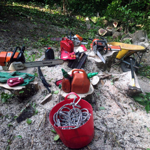 Landscape Consultant Northern Ireland