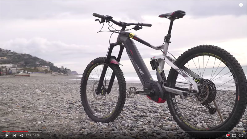 Raleigh Mustang